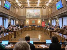 Il consiglio comunale di Trieste (Silvano)