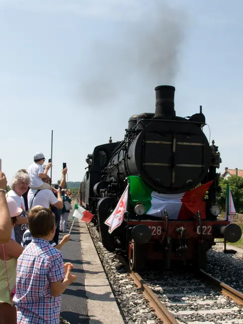 Il treno storico lungo la linea Sacile-Gemona (Petrussi)
