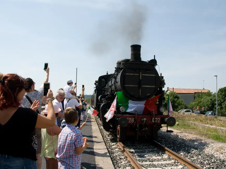 Il treno storico lungo la linea Sacile-Gemona (Petrussi)