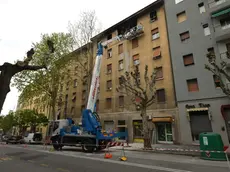 L’intervento della ditta e dei tecnici in via Baiamonti (foto Francesco Bruni)