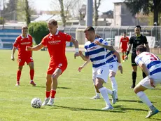 L’attaccante biancorosso Eetu Vertainen (foto Andrea Lasorte)