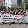Il corteo che ha attraversato Cormons in difesa delle sorti della cagnolina Nina foto Petrussi