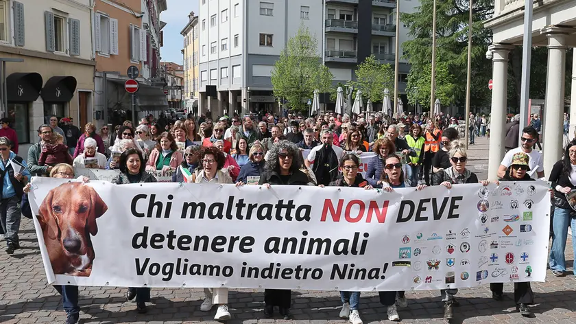 https://images.ilpiccolo.it/view/acePublic/alias/contentid/1qec56fe1qtc21bcim4/0/copia-di-copy-of-cormons-11-aprile-2026-manifestazione-per-la-cagnetta-nina-foto-petrussi.webp?f=16%3A9&amp;w=840