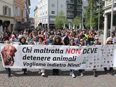 Il corteo che ha attraversato Cormons in difesa delle sorti della cagnolina Nina foto Petrussi