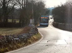 La linea 51 lungo la strada di Gropada da allargare Foto Lasorte