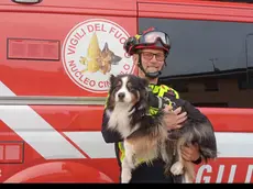 Lamù, 11 anni, Australian Shepherd femmina con il suo conduttore Andrea Leban