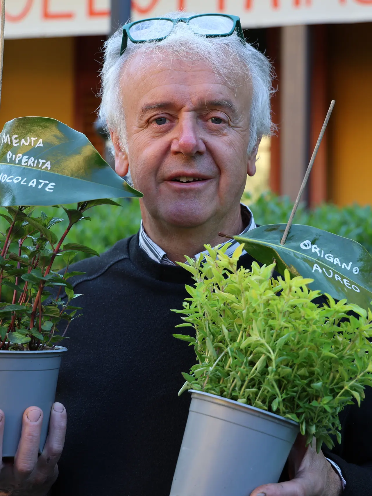 Paolo Gramaglia. Foto Lasorte