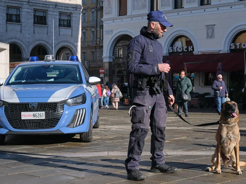 L’unità cinofila della Polizia locale foto Silvano