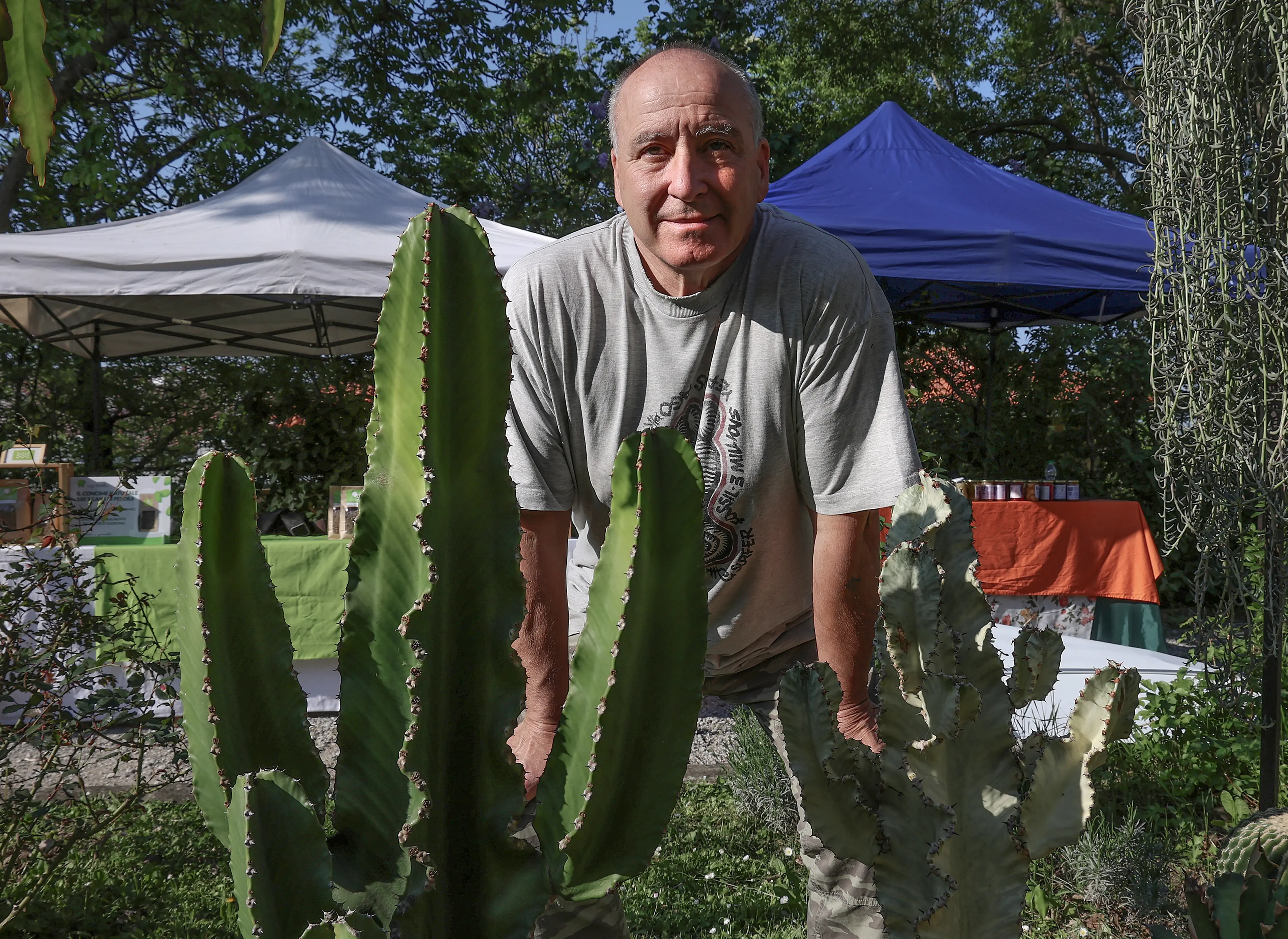 Claudio Venturelli con i suoi cactus. Fotoservizio Lasorte