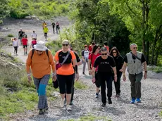 I marciatori alle prese con uno dei tre percorsi lungo i sentieri del Carso, immersi nella natura. Foto di Katia Bonaventura