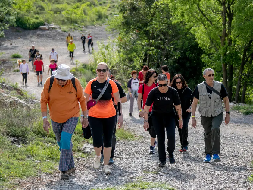 I marciatori alle prese con uno dei tre percorsi lungo i sentieri del Carso, immersi nella natura. Foto di Katia Bonaventura