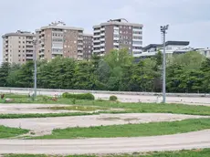 In alto come si presenta l’ippodromo di Montebello, sopra una corsa e il Nordic walking Foto Silvano