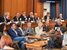 Il Consiglio comunale a Gorizia con l’assessore Riccardi (foto Daniele Tibaldi)