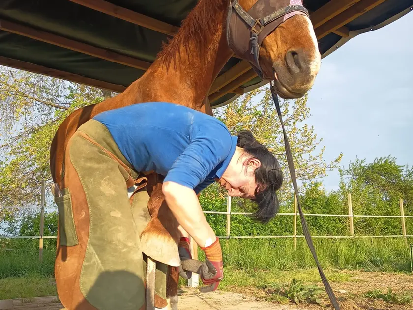 Lucia Ferretti, 37 anni, nativa di Ravenna e goriziana di adozione