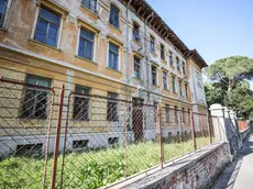 L'ex scuola Pitteri fotografata da Daniele Tibaldi