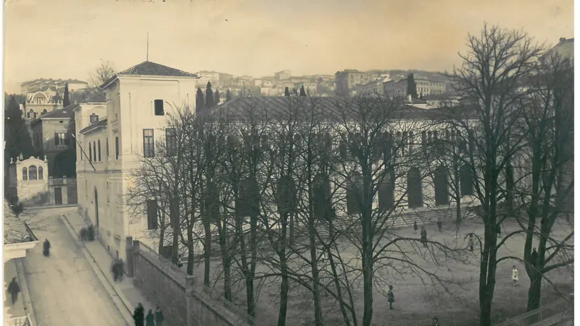 Alla scoperta dei Giardini Privati di Trieste: oasi storiche tra Carso e il mare