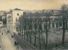 Ecco come si presentava l'area della Ginnastica triestina (Archivio Sgt)