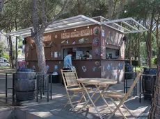 L’ex “La pineta delle scimmie” nella pineta di Barcola (Foto Massimo Silvano)