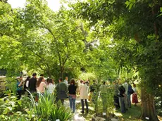 Ecco come si presenta l’Orto Botanico dell’Università di Trieste sul colle di Monte Valerio