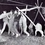 La tradizione del Maj in una vecchia immagine (foto Pellis)
