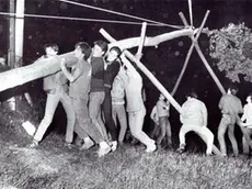 La tradizione del Maj in una vecchia immagine (foto Pellis)