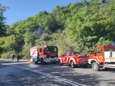 L'intervento dei vigili del fuoco