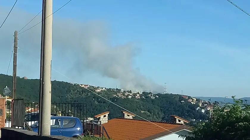 Incendio in Carso: a fuoco un’area boschiva attorno a via Bonomea