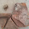 Il marchio di fabbrica Pansiana