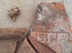 Il marchio di fabbrica Pansiana
