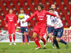Pablo Granoche in azione con la maglia alabardata