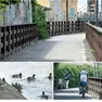 In questo fotoservizio di Katia Bonaventura lo stato in cui versa il canale De Dottori a Monfalcone