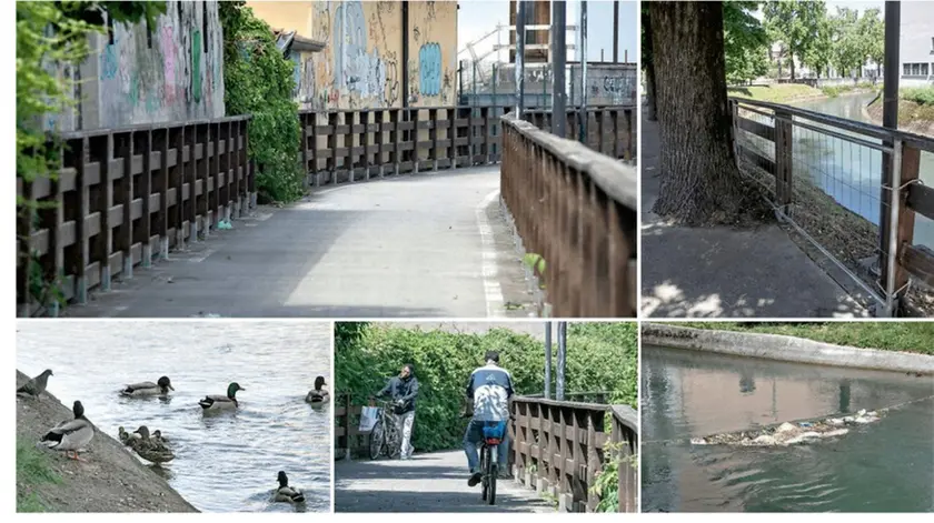In questo fotoservizio di Katia Bonaventura lo stato in cui versa il canale De Dottori a Monfalcone