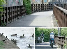 In questo fotoservizio di Katia Bonaventura lo stato in cui versa il canale De Dottori a Monfalcone