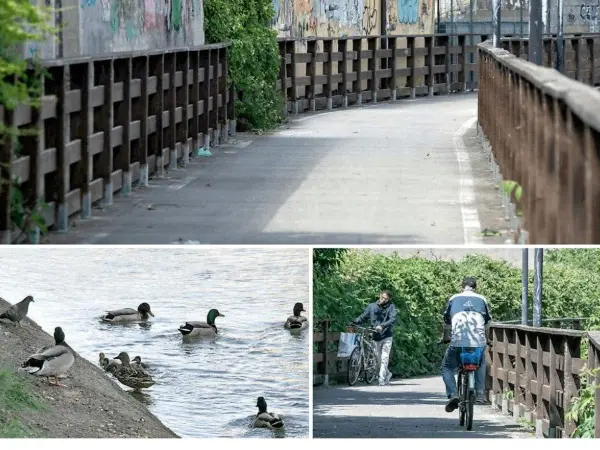 In questo fotoservizio di Katia Bonaventura lo stato in cui versa il canale De Dottori a Monfalcone