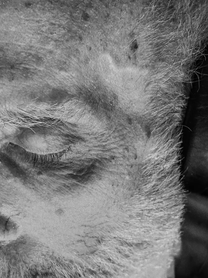 Una fotografia del progetto One Year