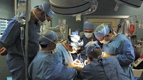 Al centro trapianti di Udine, da gennaio, sono già stati eseguiti 64 interventi