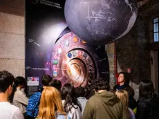 Ragazzi all'Immaginario Scientifico a Trieste