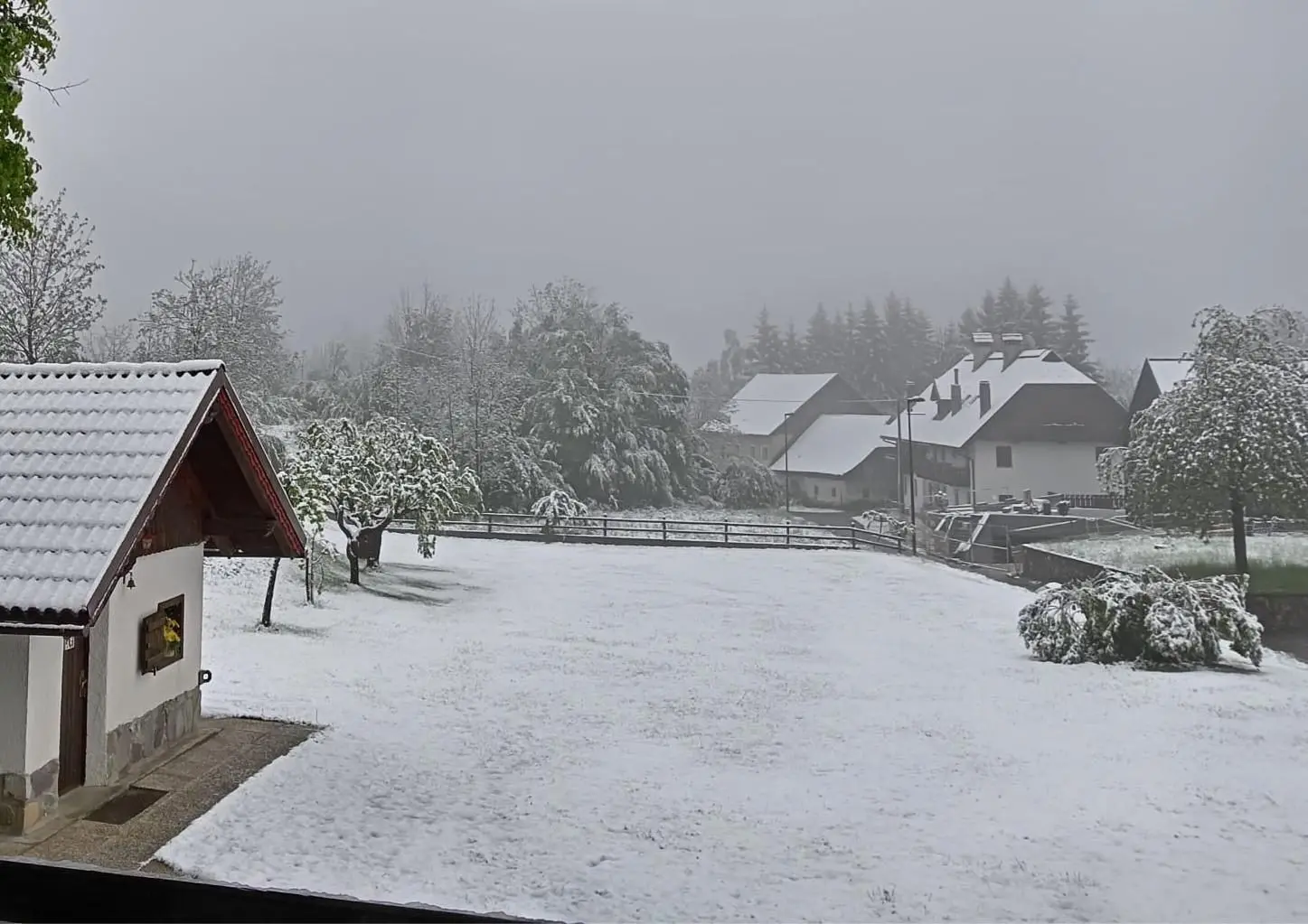 La neve caduta nella notte sul Tarvisiano