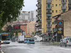 Via Flavia Fotoservizio Andrea Lasorte
