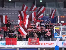 Circa ottanta i tifosi della Pallacanestro Trieste presenti al PalaLeonessa (foto Ciamillo / Lasorte)