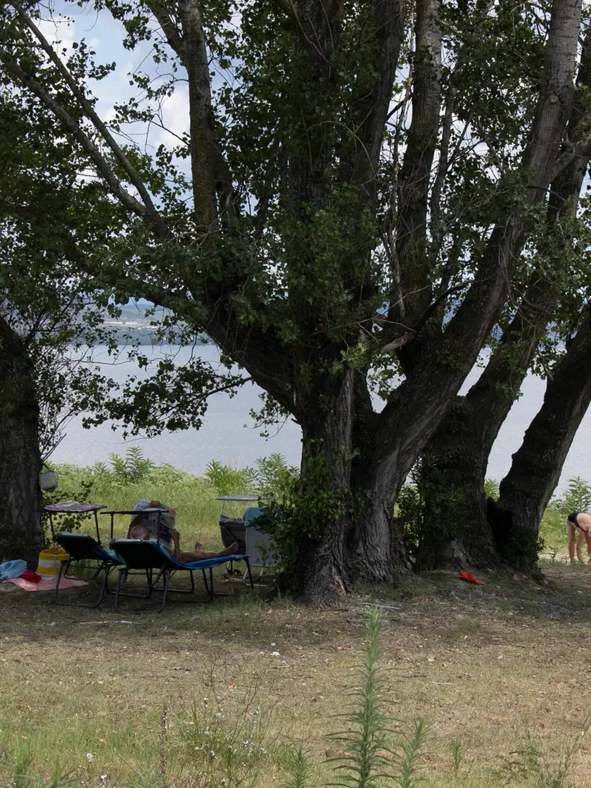Sdraio all’ombra degli alberi nella zona del Lido (Bonaventura)