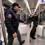 Un cane anti droga, finora appannaggio di Polizia di Stato, Arma e Gdf Foto Bonaventura