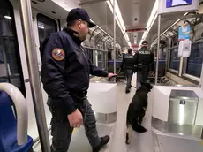 Un cane anti droga, finora appannaggio di Polizia di Stato, Arma e Gdf Foto Bonaventura