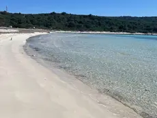 La spiaggia di Sakarun sull’Isola lunga (foto Slobodna Dalmacija)