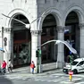 Gabbiani in centro a Trieste (foto Lasorte)