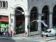 Gabbiani in centro a Trieste (foto Lasorte)