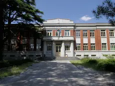 Il liceo Buonarroti di Monfalcone