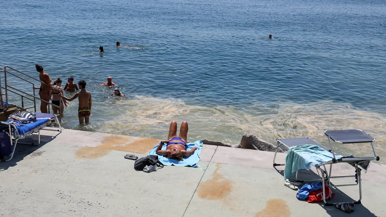 Martedì 26 maggio 2026: l'acqua di mare che bagna Trieste è gialla a causa del polline: scongiurato, per questa volta, il rischio mucillagini. Fotoservizio di Andrea Lasorte