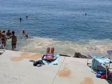 Martedì 26 maggio 2026: l'acqua di mare che bagna Trieste è gialla a causa del polline: scongiurato, per questa volta, il rischio mucillagini. Fotoservizio di Andrea Lasorte