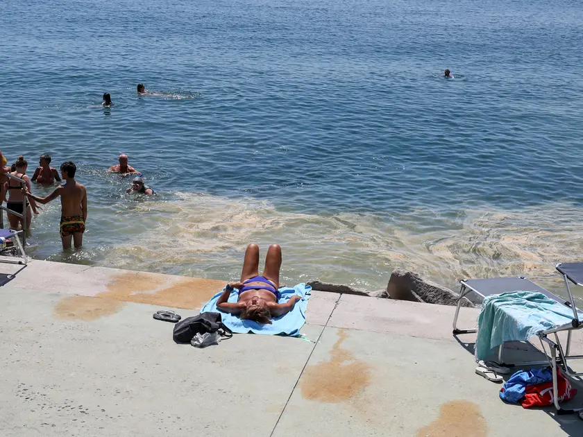 Martedì 26 maggio 2026: l'acqua di mare che bagna Trieste è gialla a causa del polline: scongiurato, per questa volta, il rischio mucillagini. Fotoservizio di Andrea Lasorte